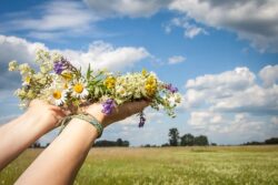 Qigong am Abend: Montags 25.08.25 – 13.10.25 Wind, der übers Kornfeld streicht